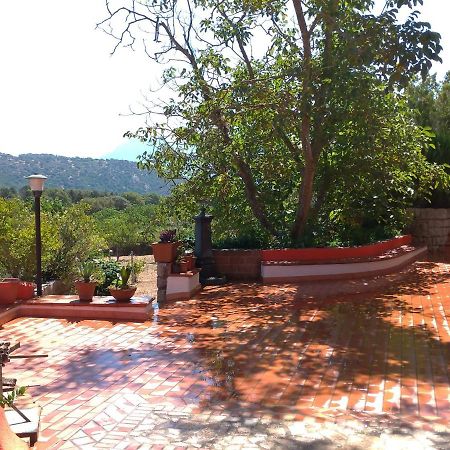 B&B Bene Bennios Iun F1441 Nuoro  Esterno foto