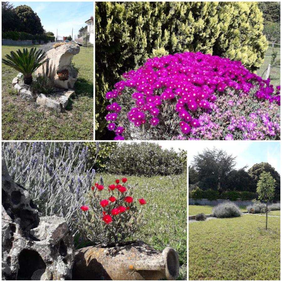 B&B Bene Bennios Iun F1441 Nuoro  Esterno foto
