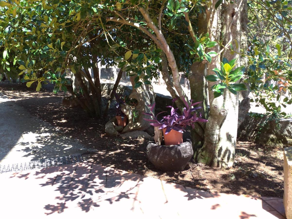 B&B Bene Bennios Iun F1441 Nuoro  Esterno foto